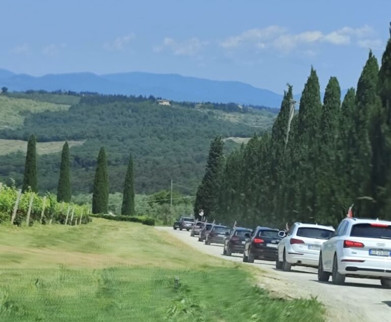 252a8a06-7235-4690-8073-30cdba52526a