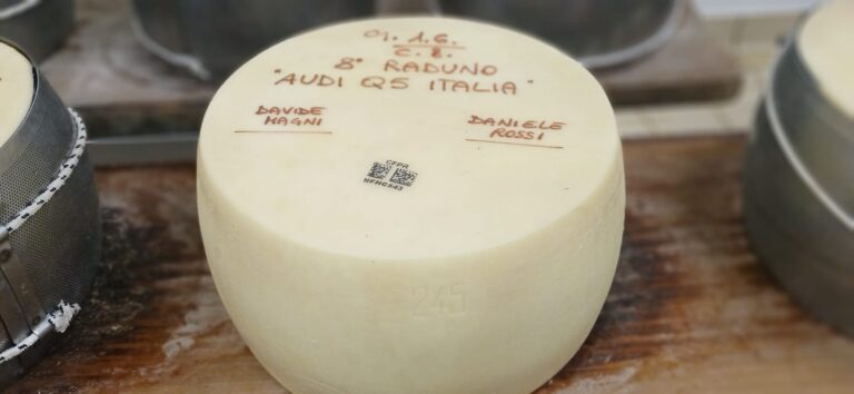 8° Raduno Audi Q5 Club Italia - Emilia Romagna