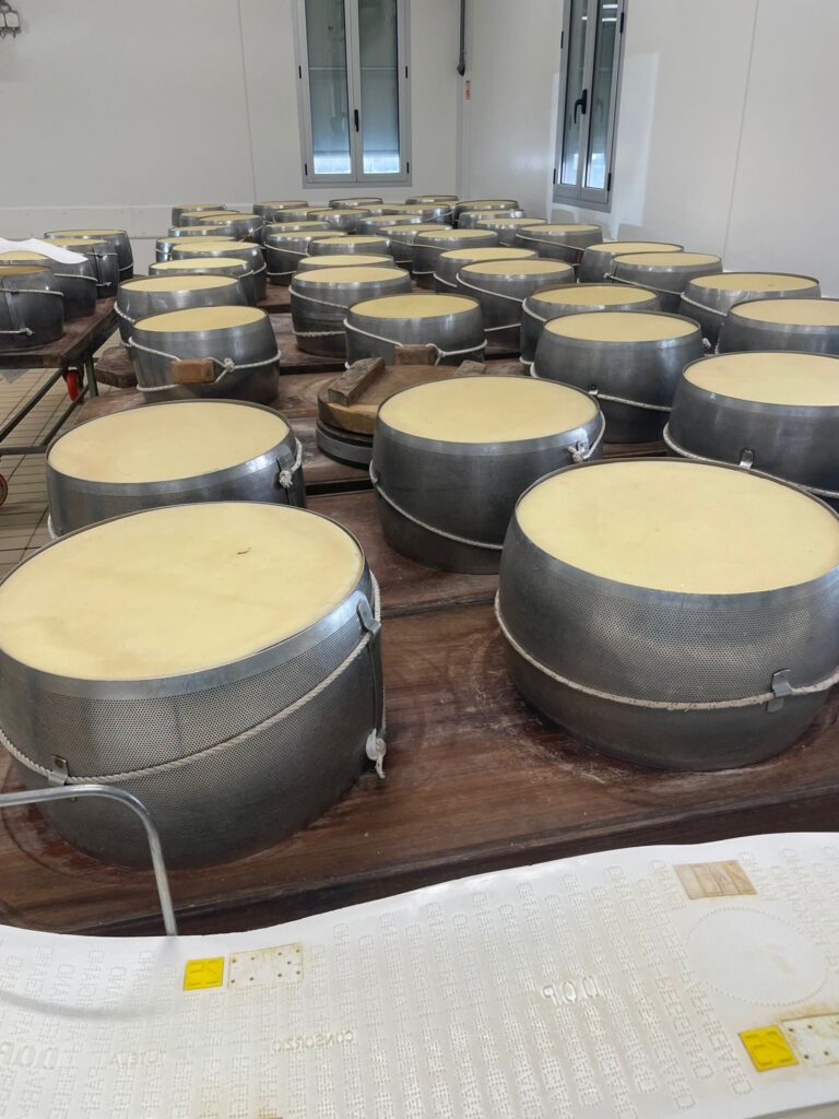 8° Raduno Audi Q5 Club Italia - Emilia Romagna