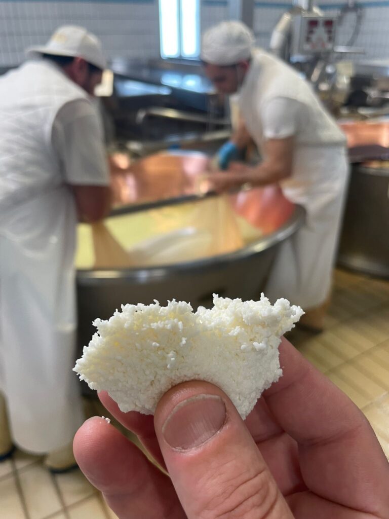 8° Raduno Audi Q5 Club Italia - Emilia Romagna