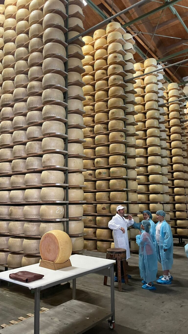 8° Raduno Audi Q5 Club Italia - Emilia Romagna