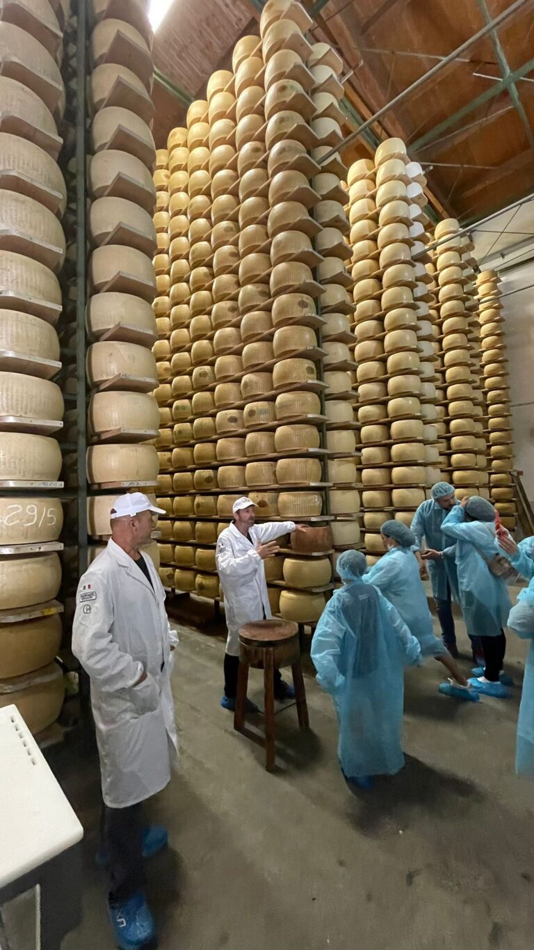 8° Raduno Audi Q5 Club Italia - Emilia Romagna