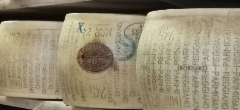 8° Raduno Audi Q5 Club Italia - Emilia Romagna