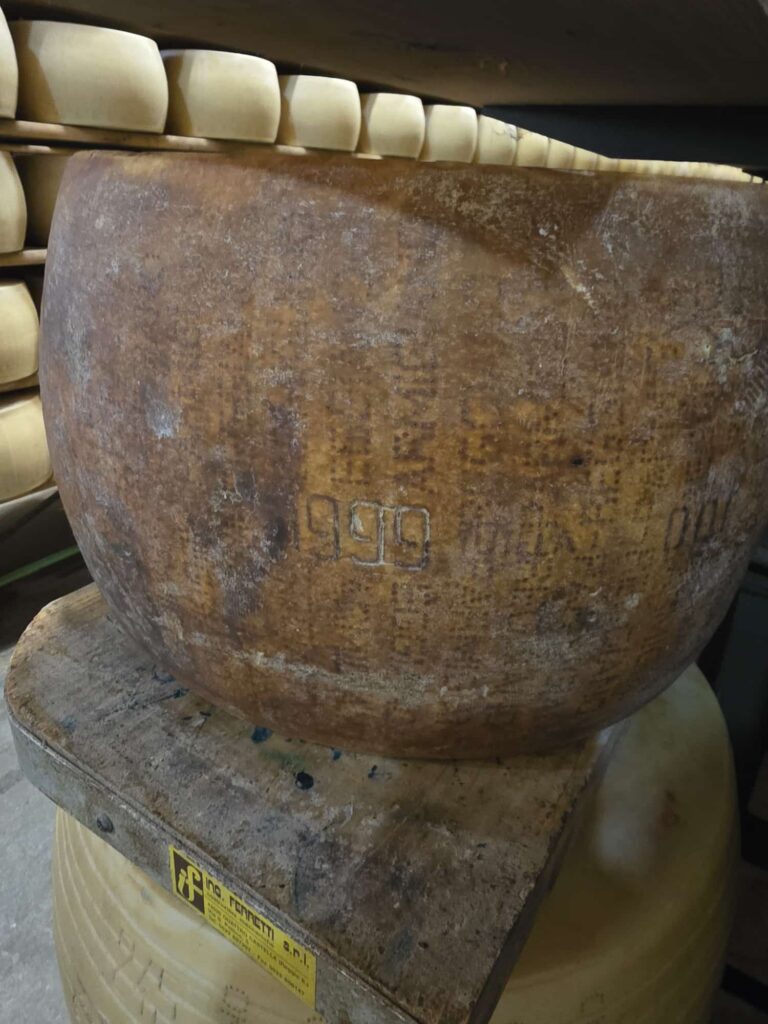 8° Raduno Audi Q5 Club Italia - Emilia Romagna