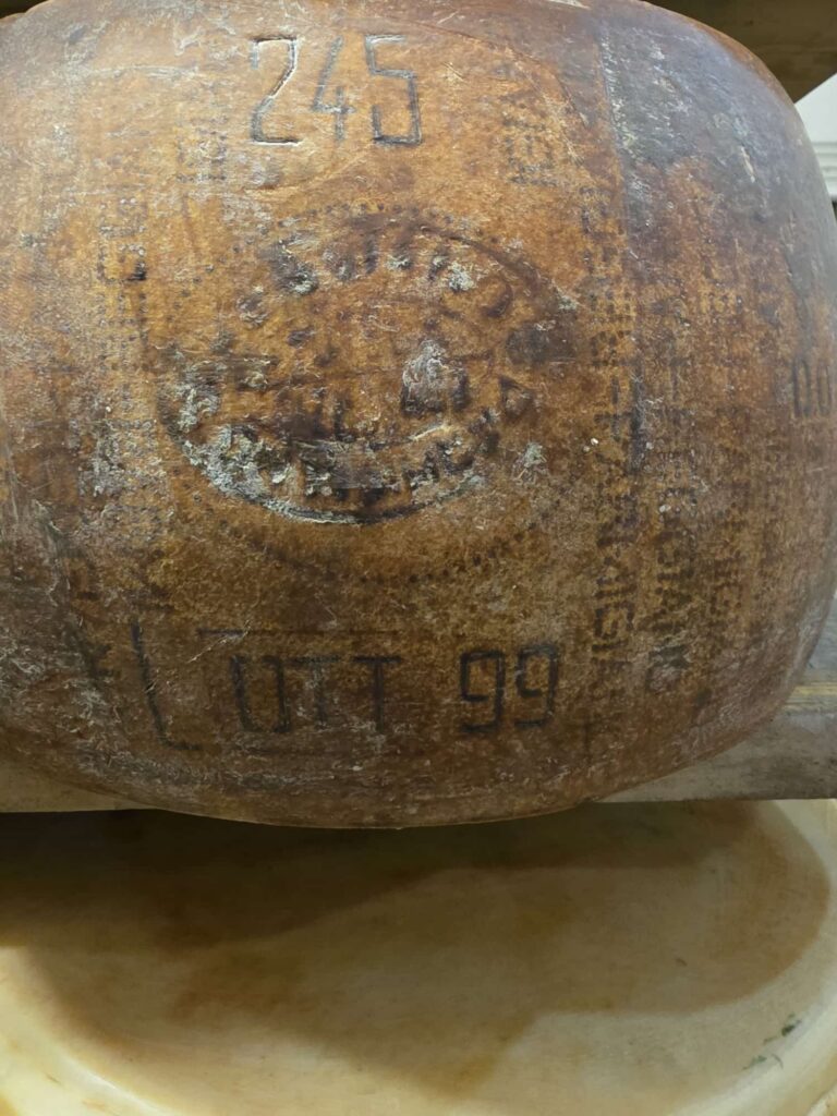 8° Raduno Audi Q5 Club Italia - Emilia Romagna