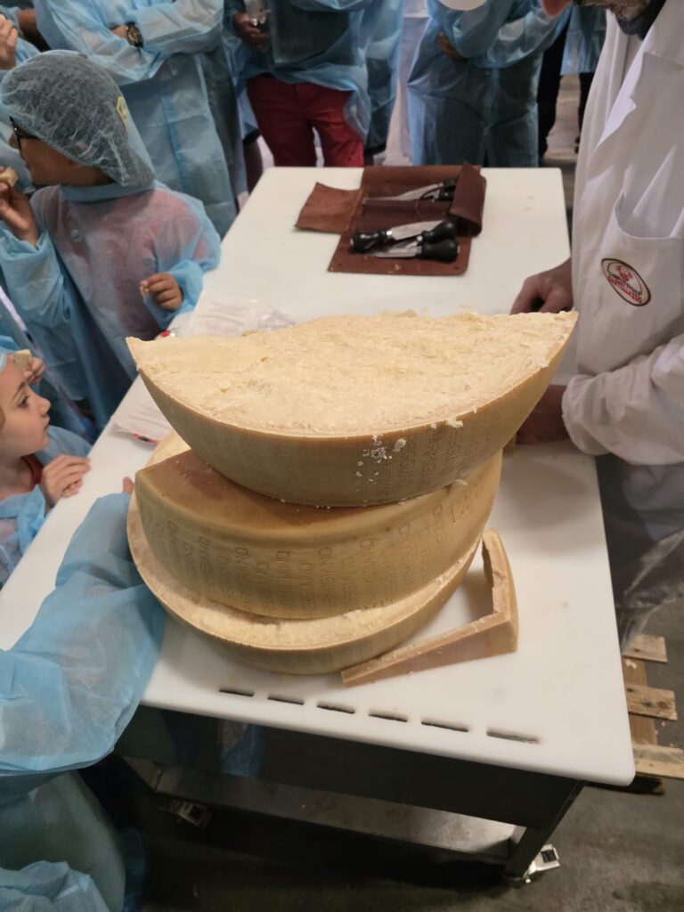 8° Raduno Audi Q5 Club Italia - Emilia Romagna