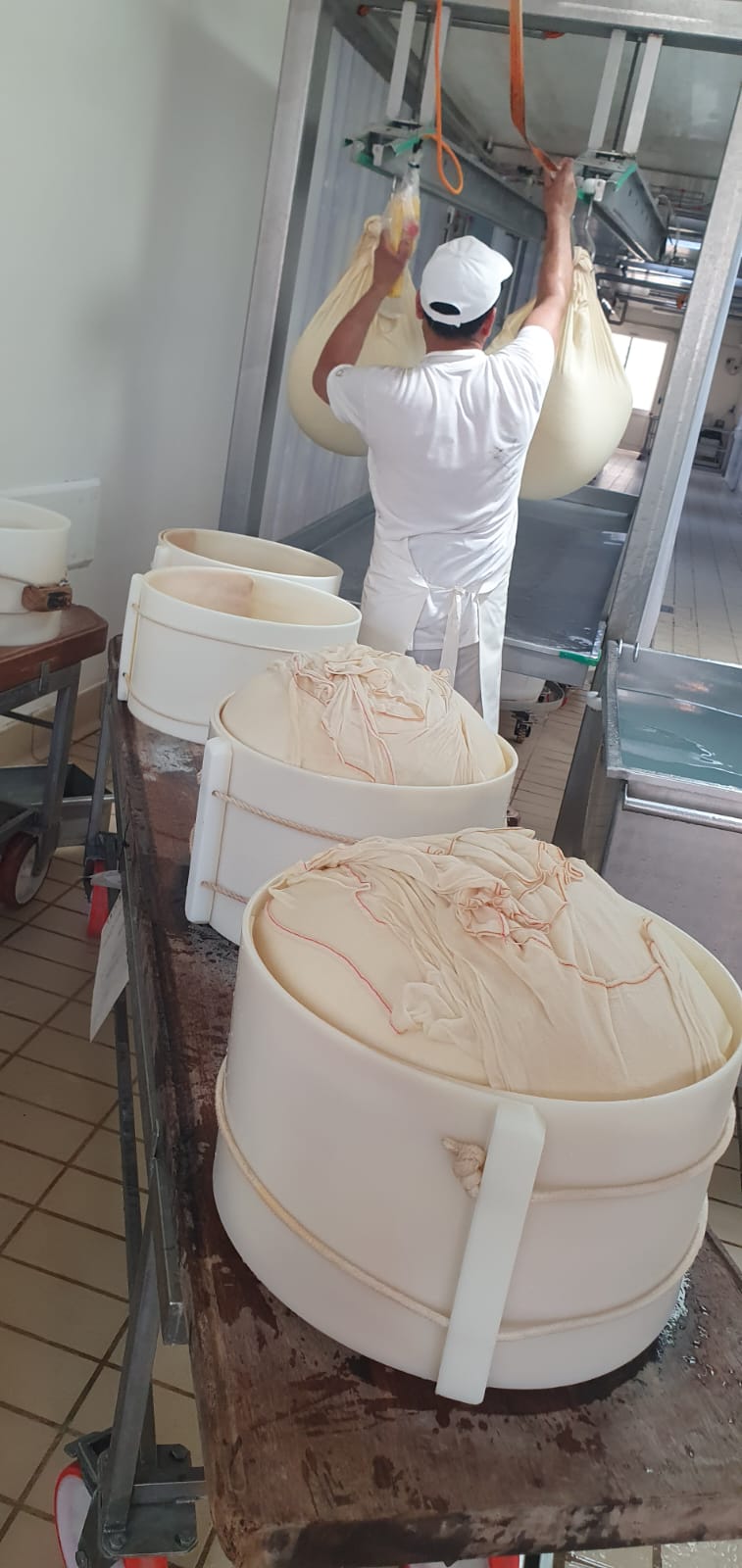 8° Raduno Audi Q5 Club Italia - Emilia Romagna