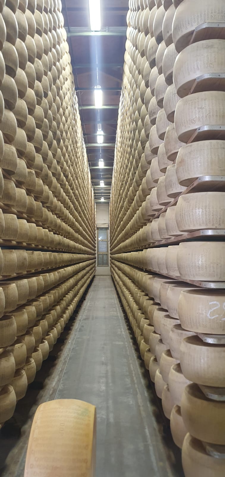 8° Raduno Audi Q5 Club Italia - Emilia Romagna