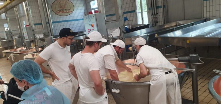 8° Raduno Audi Q5 Club Italia - Emilia Romagna