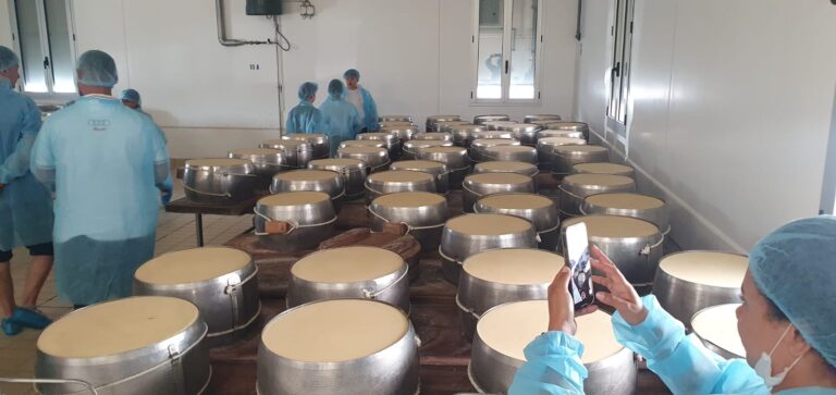 8° Raduno Audi Q5 Club Italia - Emilia Romagna