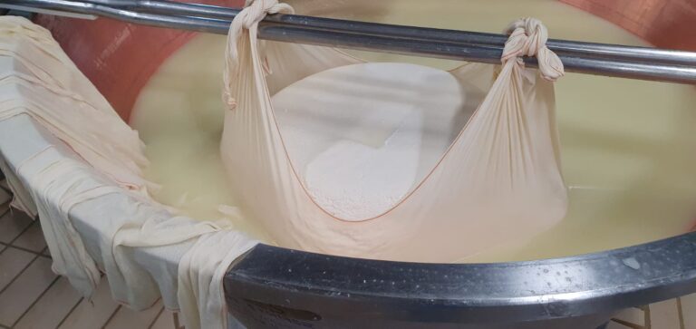 8° Raduno Audi Q5 Club Italia - Emilia Romagna