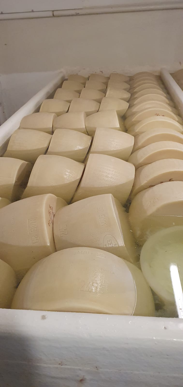 8° Raduno Audi Q5 Club Italia - Emilia Romagna