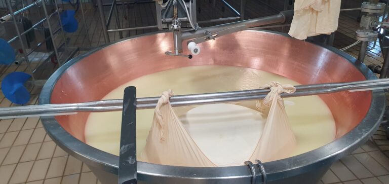 8° Raduno Audi Q5 Club Italia - Emilia Romagna