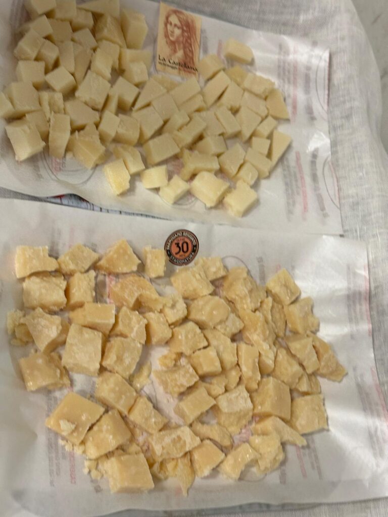 8° Raduno Audi Q5 Club Italia - Emilia Romagna