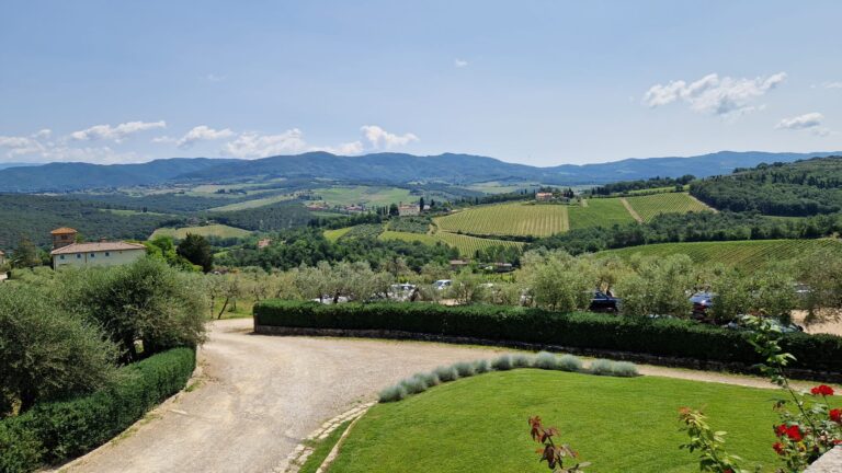 a8b1c628-ea7e-4ff1-bb89-c23d386bbba1